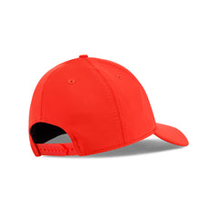 Black Clover Premium Clover 113 fitted cap back view