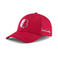 Black Clover Qatar Premium Clover 3 fitted cap side profile