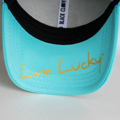Black Clover Premium Clover 40 fitted cap back view